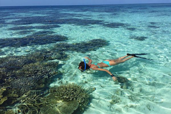 Snorkeling – Amor a Mar – Sal rei (4) Snorkeling - Amor a Mar - Sal rei (4)