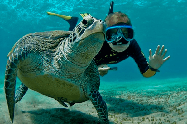 snorkeling snorkeling